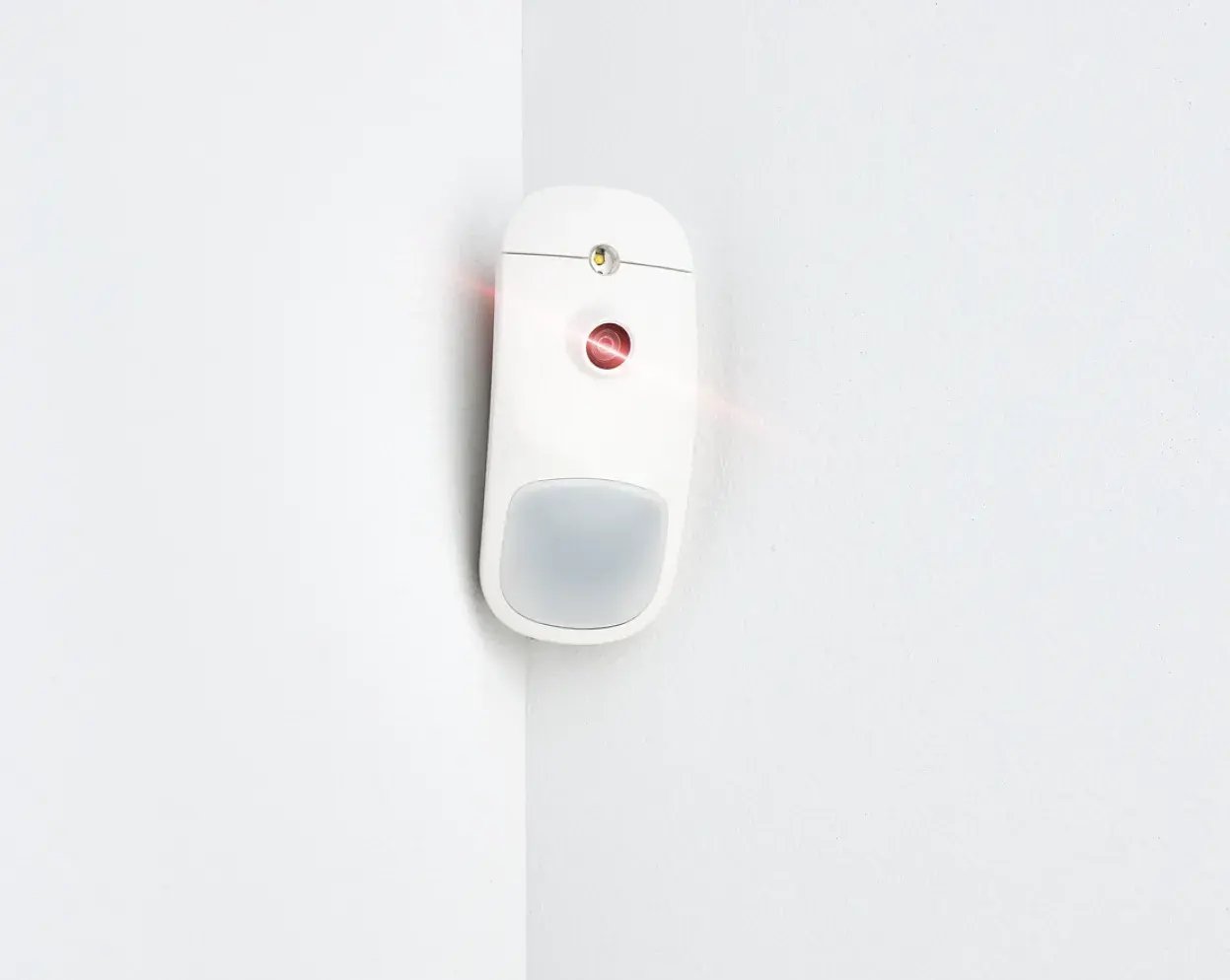 Image verification and immediate response